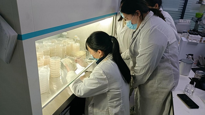 微生物檢測濾膜法操作規(guī)程是怎么樣的？